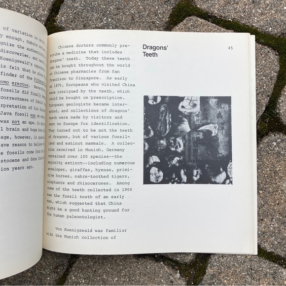 1972 The Quest for Fossil Man Education Development Skull Skeleton Sciences - Picture 6 of 11